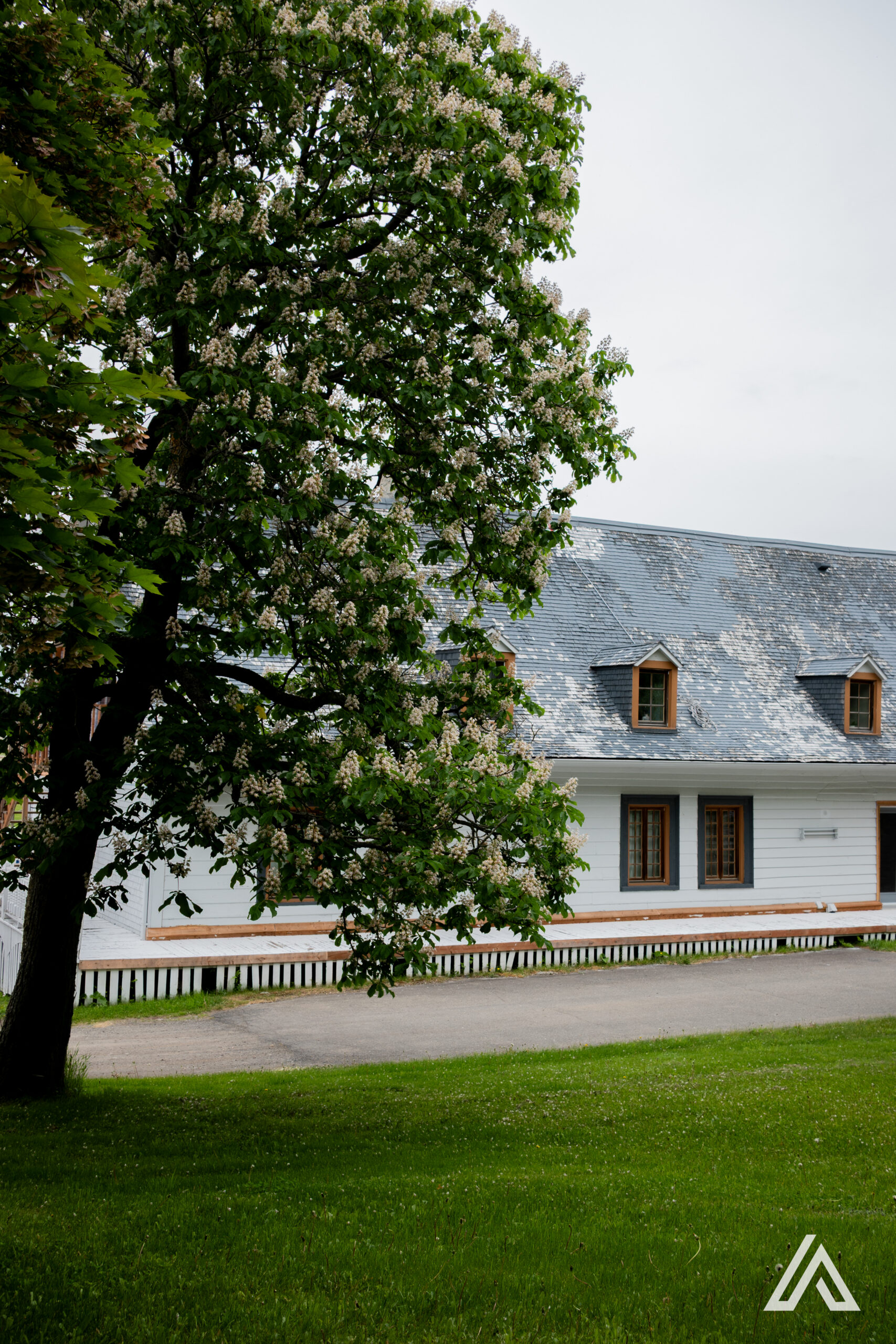 DSC_7997 Bienvenue dans notre havre de paix au cœur de la magnifique région du bas St-Laurent !