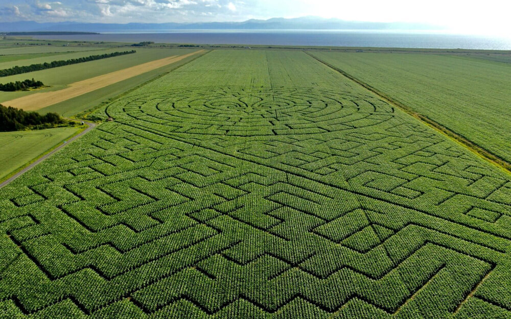 Grand Labyrinthe Kamouraska<br />
Situé à La Pocatière dans le Bas-Saint-Laurent, ce labyrinthe s’apprête à entrer dans l’histoire en établissant le record Guinness du plus grand labyrinthe de maïs de l’histoire! En famille, entre amis, ou entre collègues, de jour comme de nuit, venez affronter le plus grand labyrinthe de maïs au monde!